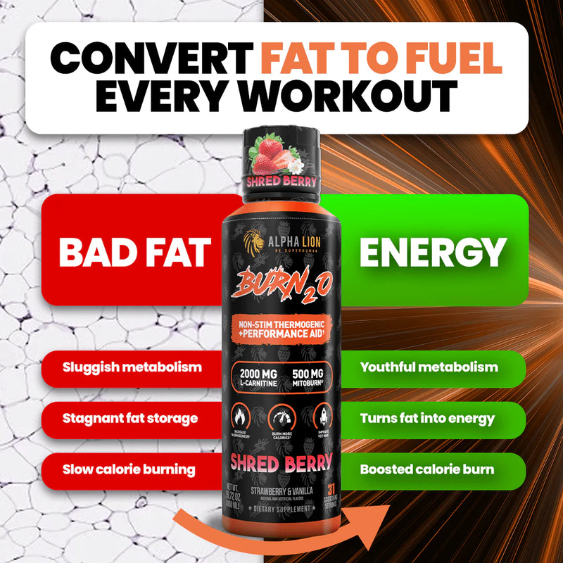 Alpha Lion Burn2.0 Stim-Free Liquid Thermogenic and Performance Aid NONA Alpha Lion Burn2.0 Stim-Free Liquid Thermogenic and Performance Aid NONA