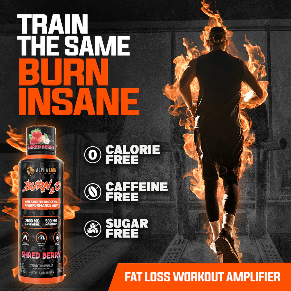 l carnitine alpha lion Lion, Liquid Thermogenic, 15.72 oz, Burn2O Strawberry & Vanilla and GBB into a delicious calorie Alpha Lion Burn2.0 Stim-Free Liquid