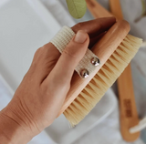 Dry Brush for Body